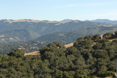 The Beautiful Monterey Countryside