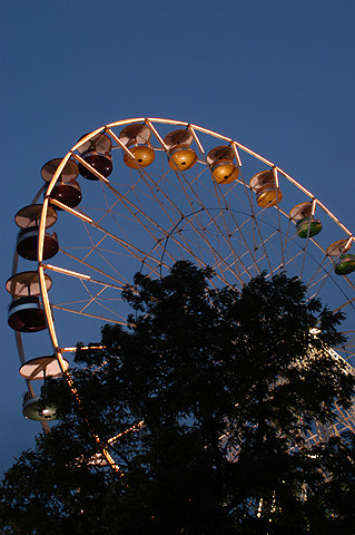 The Ferris Wheel at Dusk