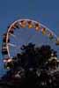 The Ferris Wheel at Dusk Thumbnail