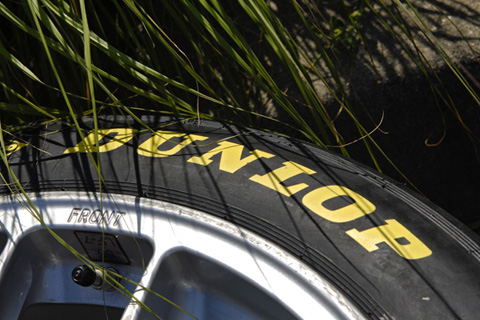 Dunlop Tire Nestled Near Grass