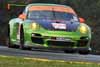 Porsche 911 GT3 Cup Driven by Peter LaSaffre and Andrew Davis in Action Thumbnail