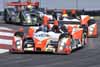Oreca FLM09 Driven by Kyle Marcelli and Tomy Drissi in Action Thumbnail