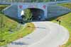New drive through tunnel after entering Mosport Thumbnail