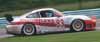 Winning GT Class Porsche in Action Thumbnail