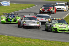 ALMS Cars in Esses Image