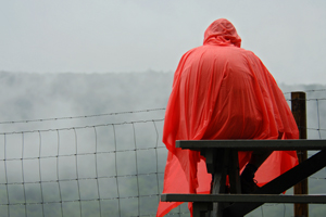 Fan in Rainy Conditions Image